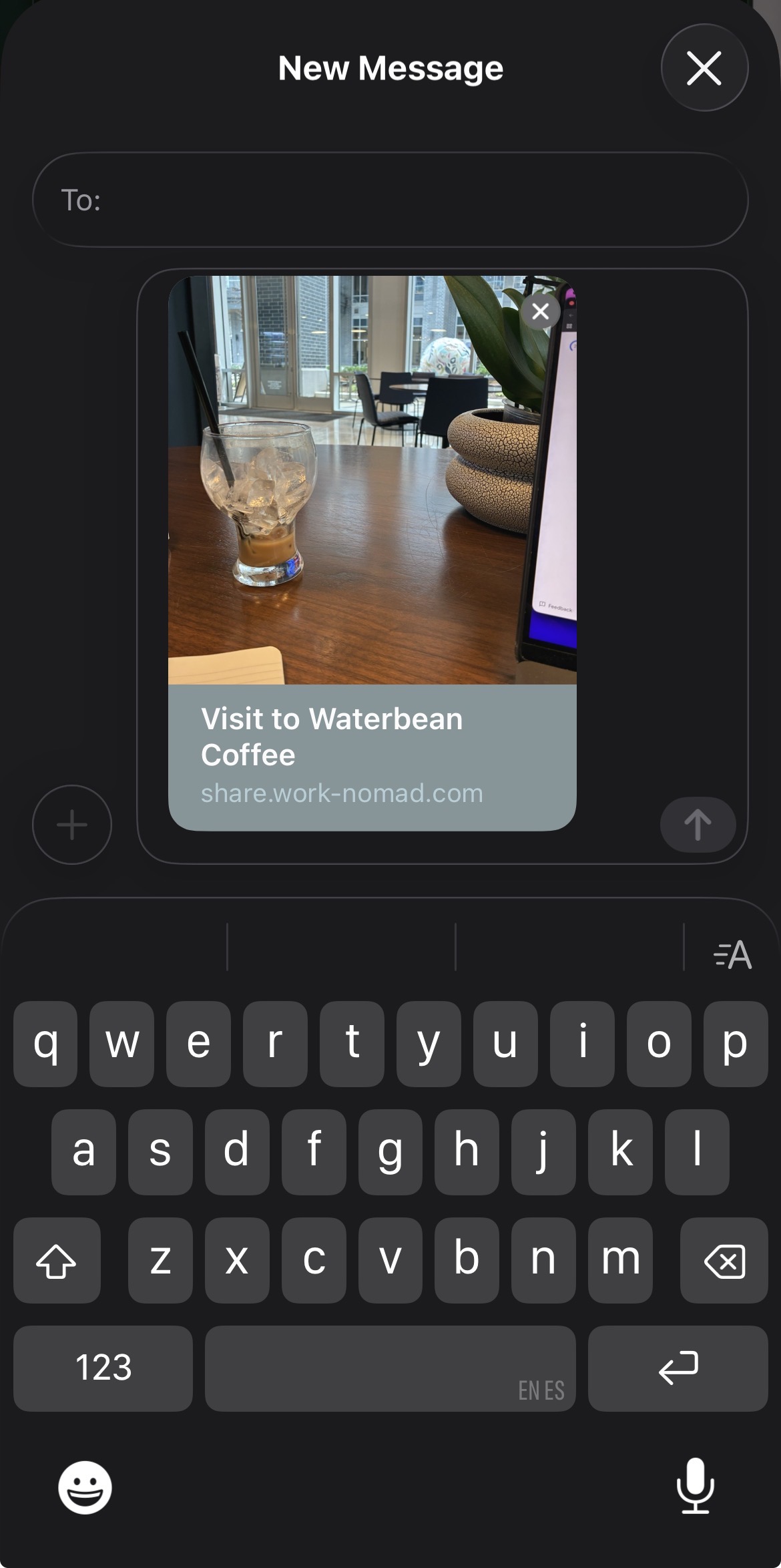 iMessage link preview showing place photo, name, and address